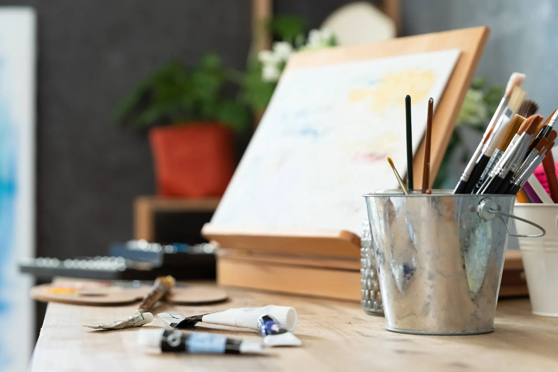 合同会社あざらし